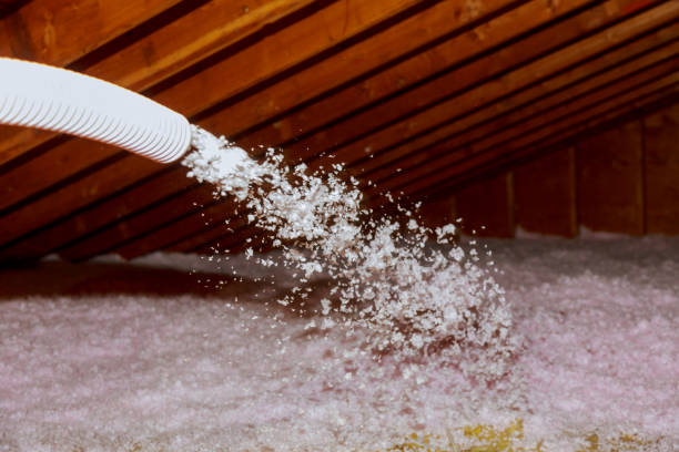 Best Insulation Maintenance and Repair in Cherokee, IA
