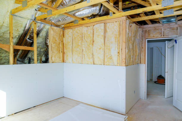 Best Geographic-Specific Insulation Services in Cherokee, IA