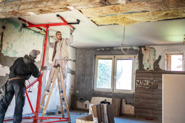 Best Spray Foam Insulation in Cherokee, IA