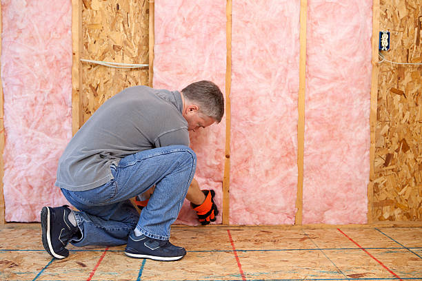 Best Cellulose Insulation in Cherokee, IA