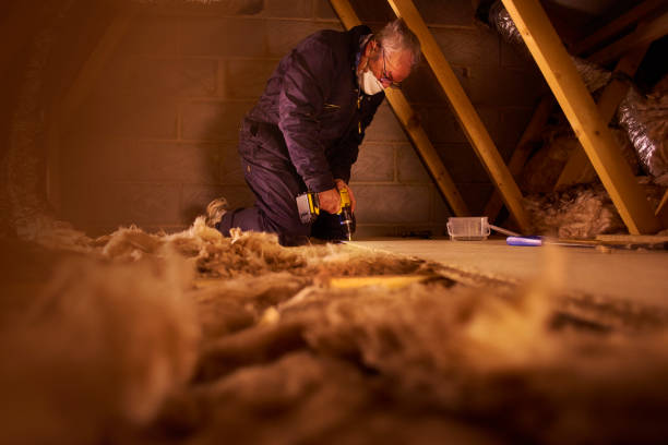 Best Residential Insulation in Cherokee, IA